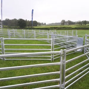 1.5m Sheep Hurdle