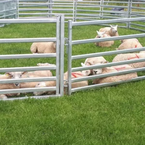 S650 Semi-Permanent Sheep Yard