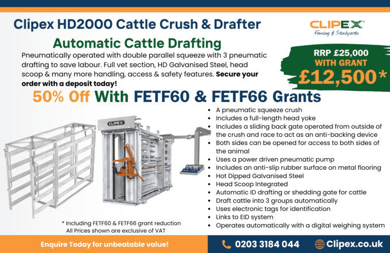 HD2000 Cattle Crush with Auto Drafter FETF grant
